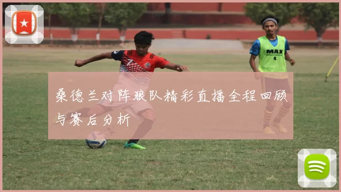 桑德兰对阵狼队精彩直播全程回顾与赛后分析