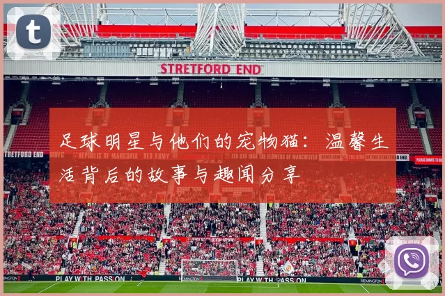 足球明星与他们的宠物猫：温馨生活背后的故事与趣闻分享